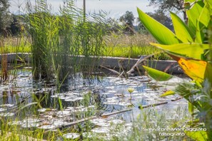 Lake - Azienda Agricola Spirdo (Ruffano)