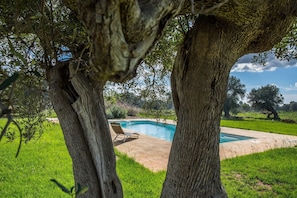 Piscina externa, espreguiçadeiras
