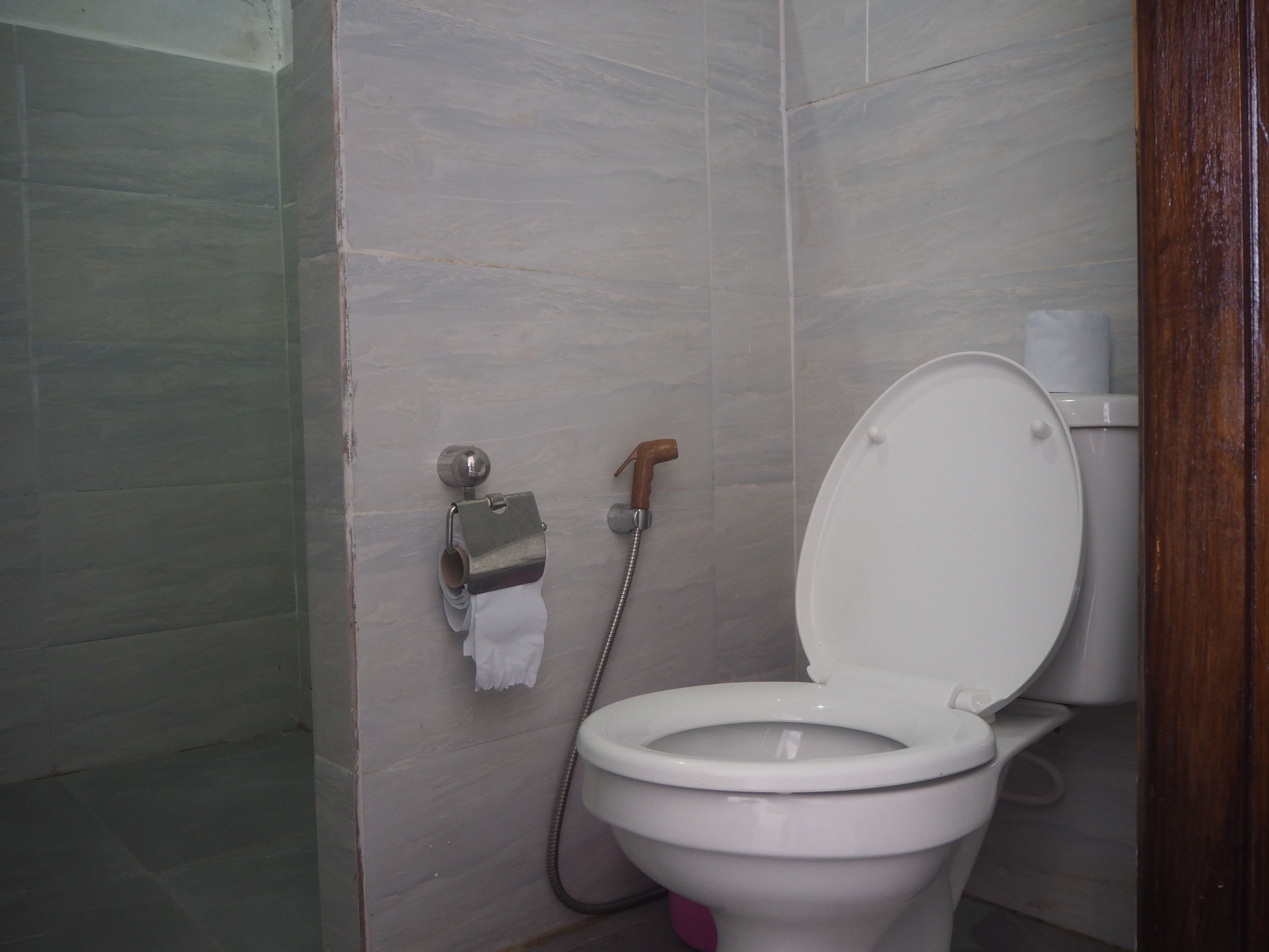 Ein Badezimmer mit Toilette, Papierhandtuchhalter und Duschkopf.