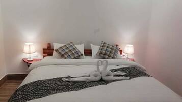 Superior Double Room with Air-con