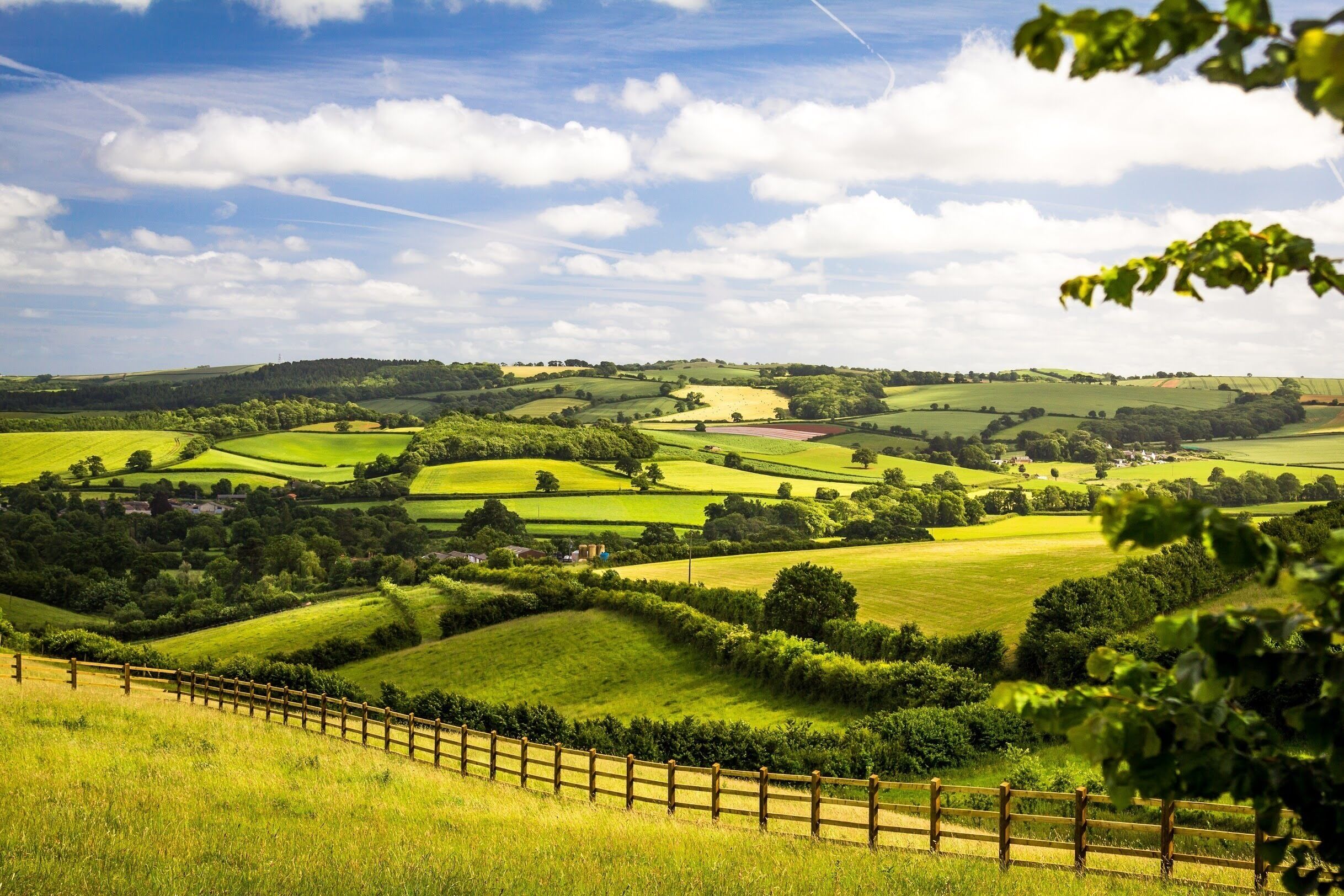 A rural landscape with rolling green fields, a wooden fence, and a clear sky.