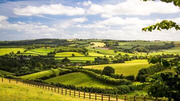 A rural landscape with rolling green fields, a wooden fence, and a clear sky.