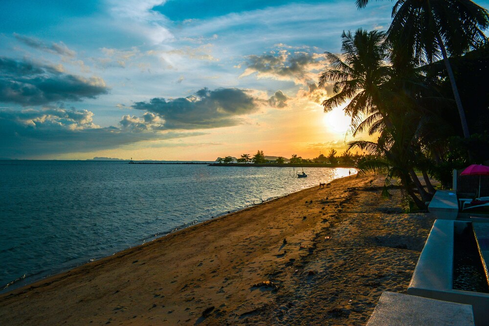 Divine Comedie by null