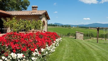 Jardin