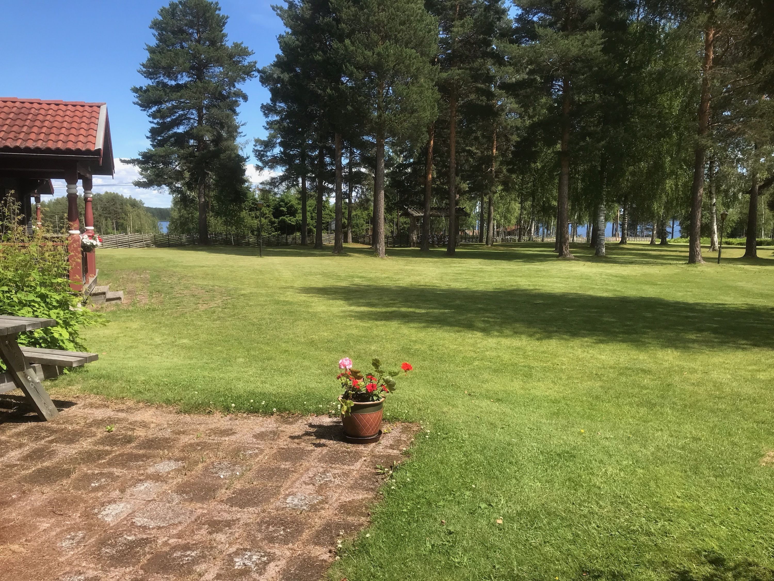 A grassy area with a wooden bench and a potted plant.