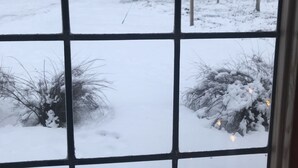 Ikkuna, jossa on ruutukuviollinen lasi, ja jonka läpi näkyy lumipeitteinen maisema, jossa on puita ja aita.