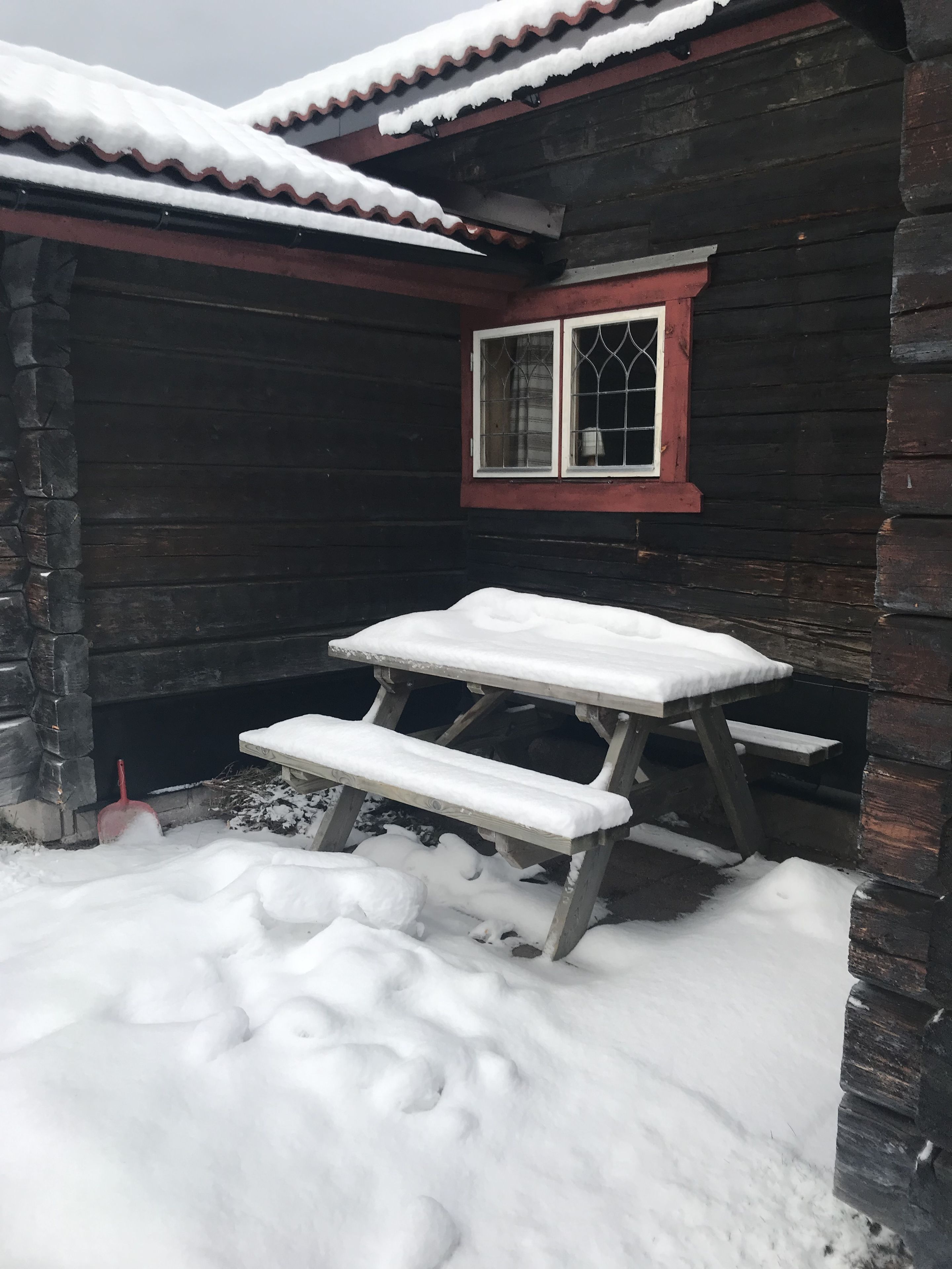 Cottage (3 - pets not allowed) | Terras