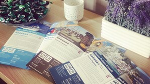 A table with brochures for various tours, a bowl of colorful candies, a white cup, and a potted lavender plant. - EmyJo Central B&B (Naples)