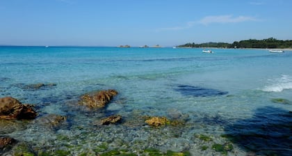 La Manne - Bormes les Mimosas