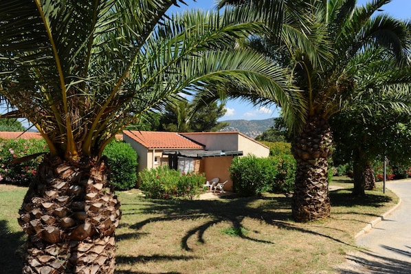 Terrain de l’hébergement