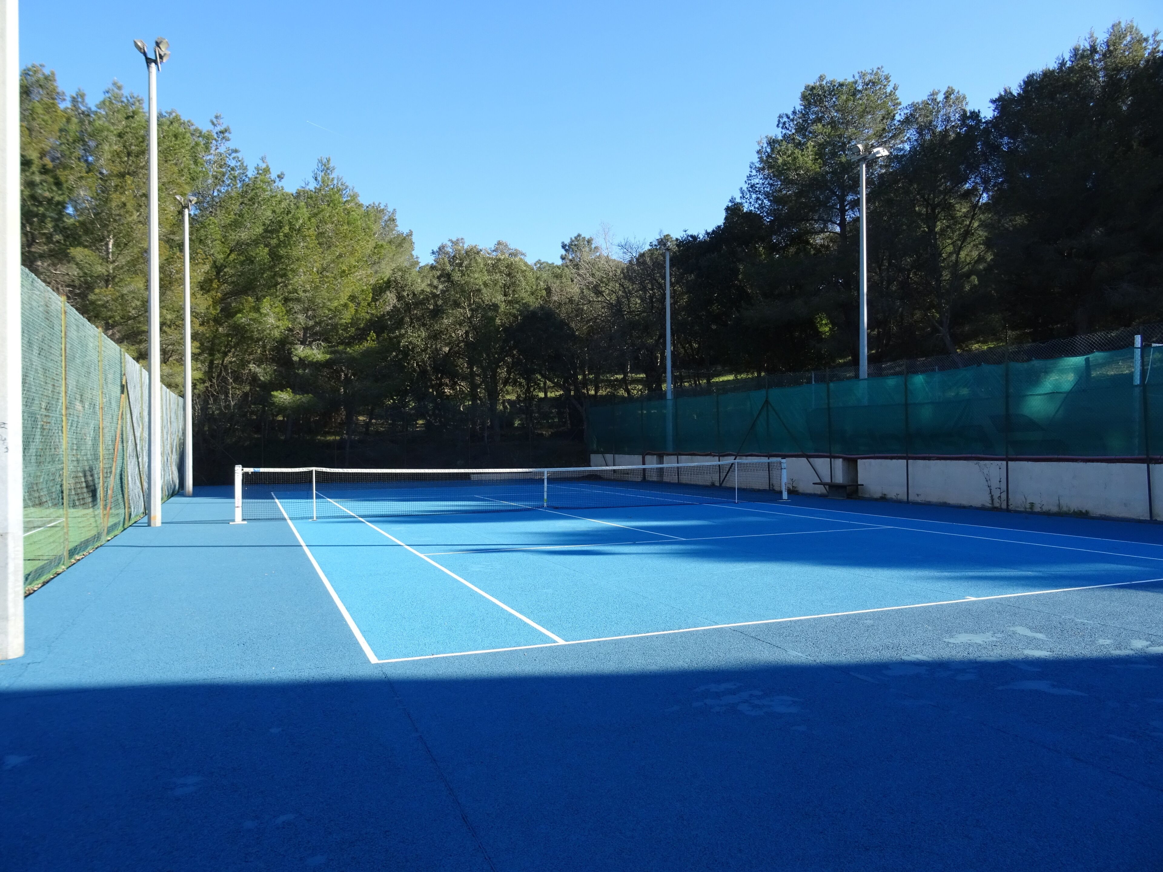 Een tennisbaan met een net, omringd door bomen en een hek.
