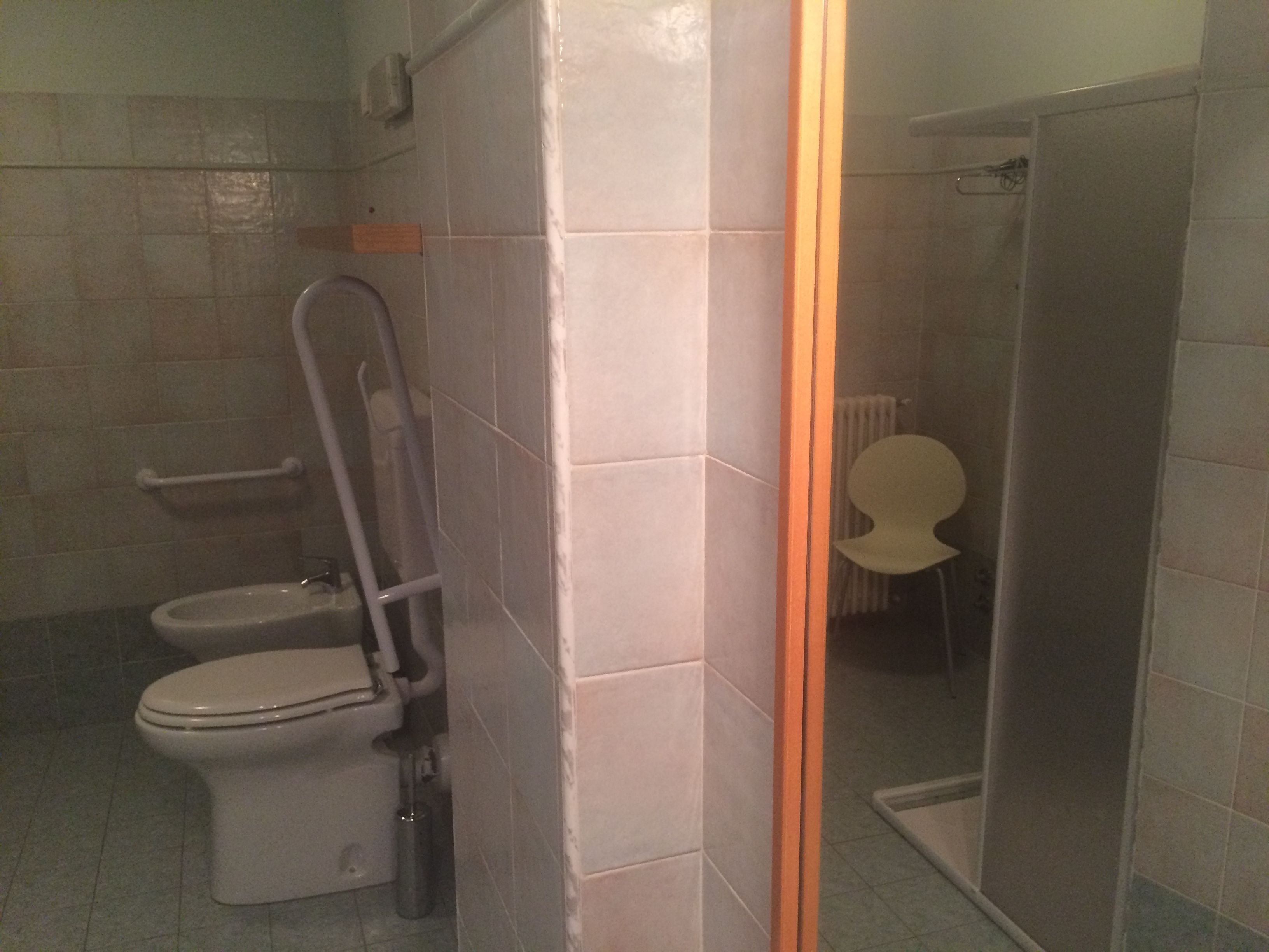 A bathroom with a toilet, a handrail, and a shower area.