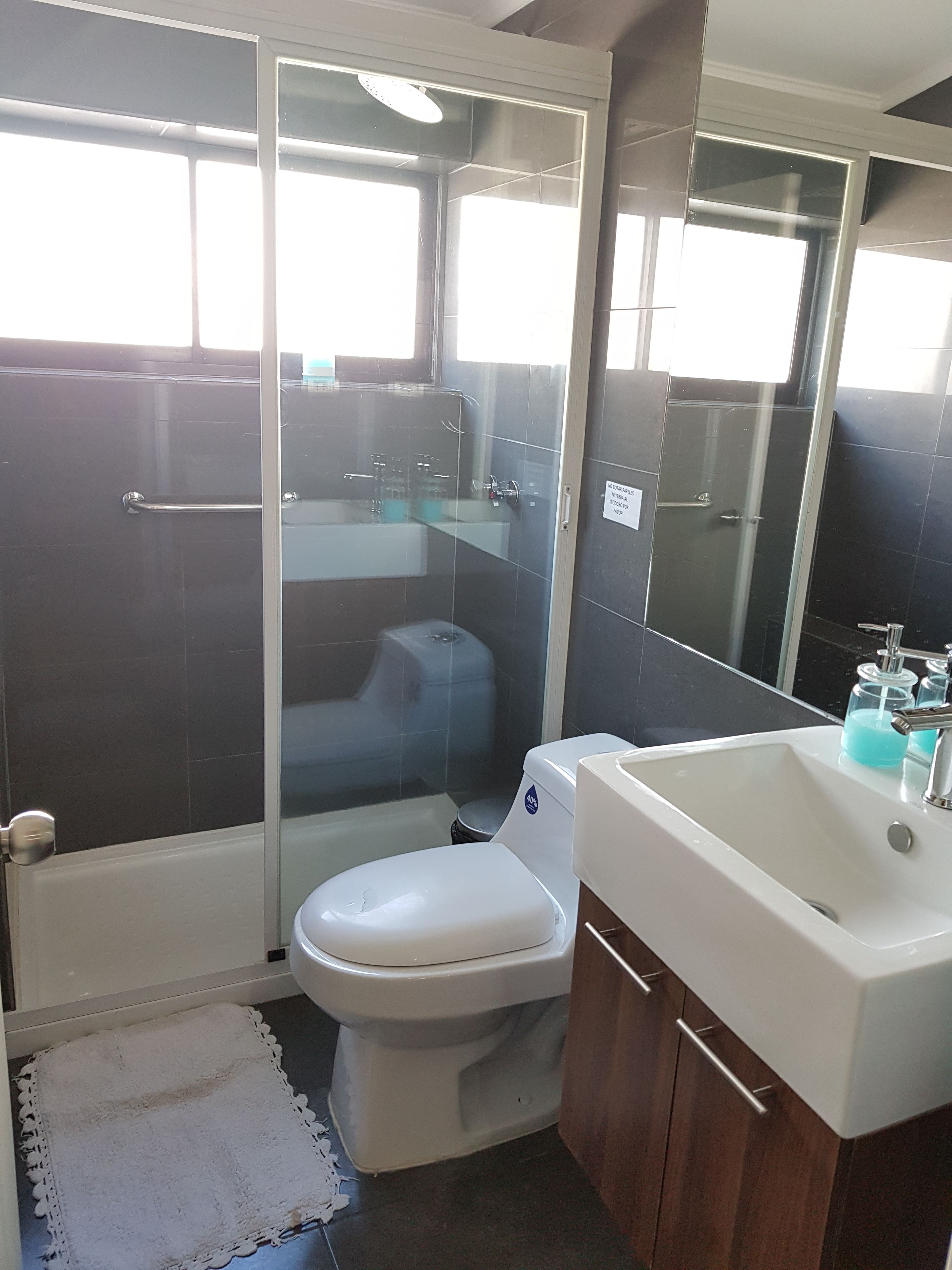 A bathroom with a glass-enclosed shower, a white toilet, a sink with a mirror, and a small rug on the floor.