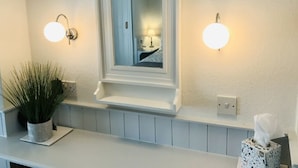 Un baño con un tocador blanco, un espejo, dos luces fijadas a la pared, una planta en maceta y una caja de pañuelos.