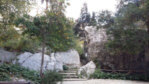 Una escalera de piedra que conduce a un afloramiento rocoso, rodeado de vegetación y árboles.