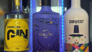 Three bottles of gin with distinct labels.