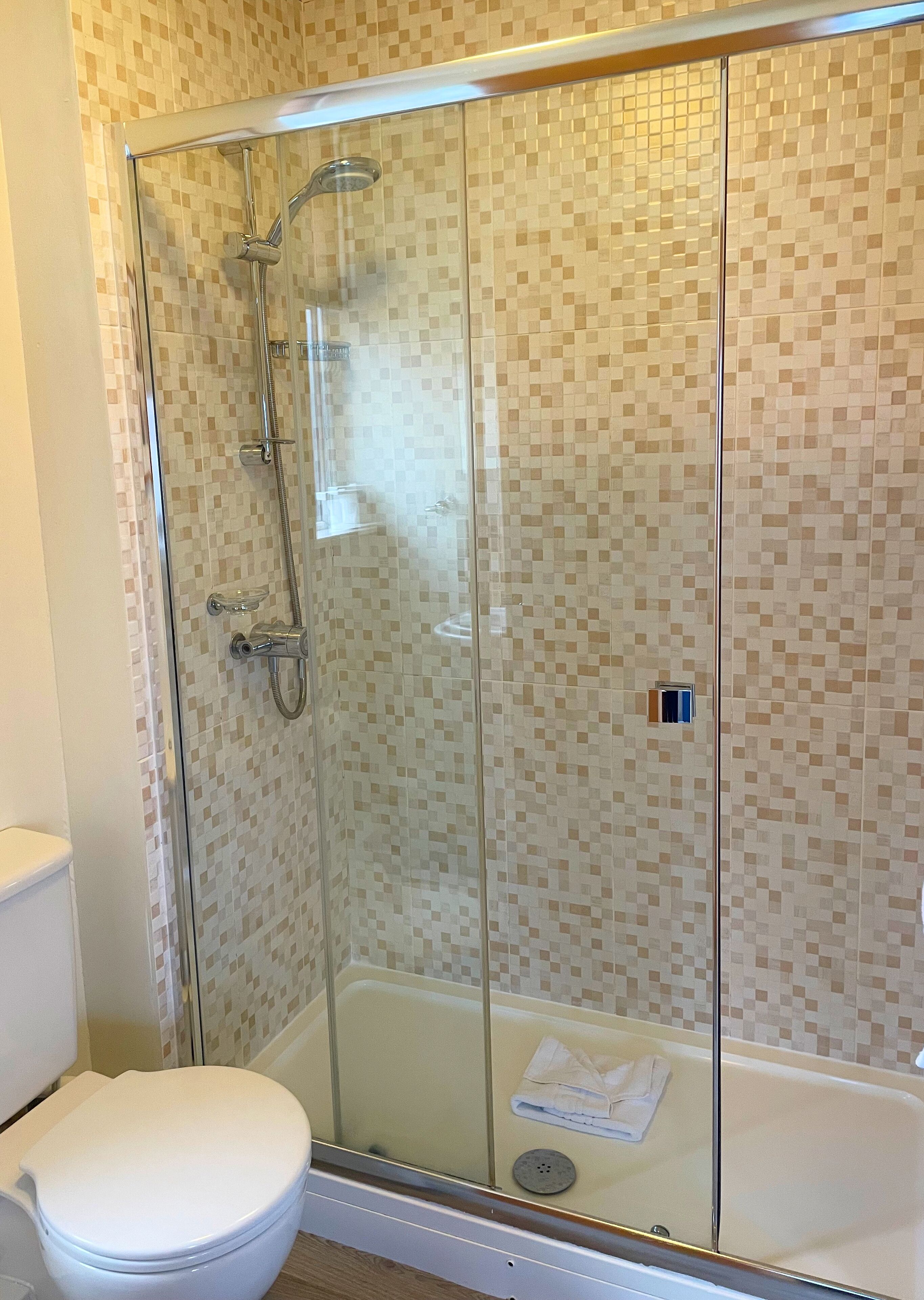 A glass-enclosed shower area with a tiled wall and a white toilet.
