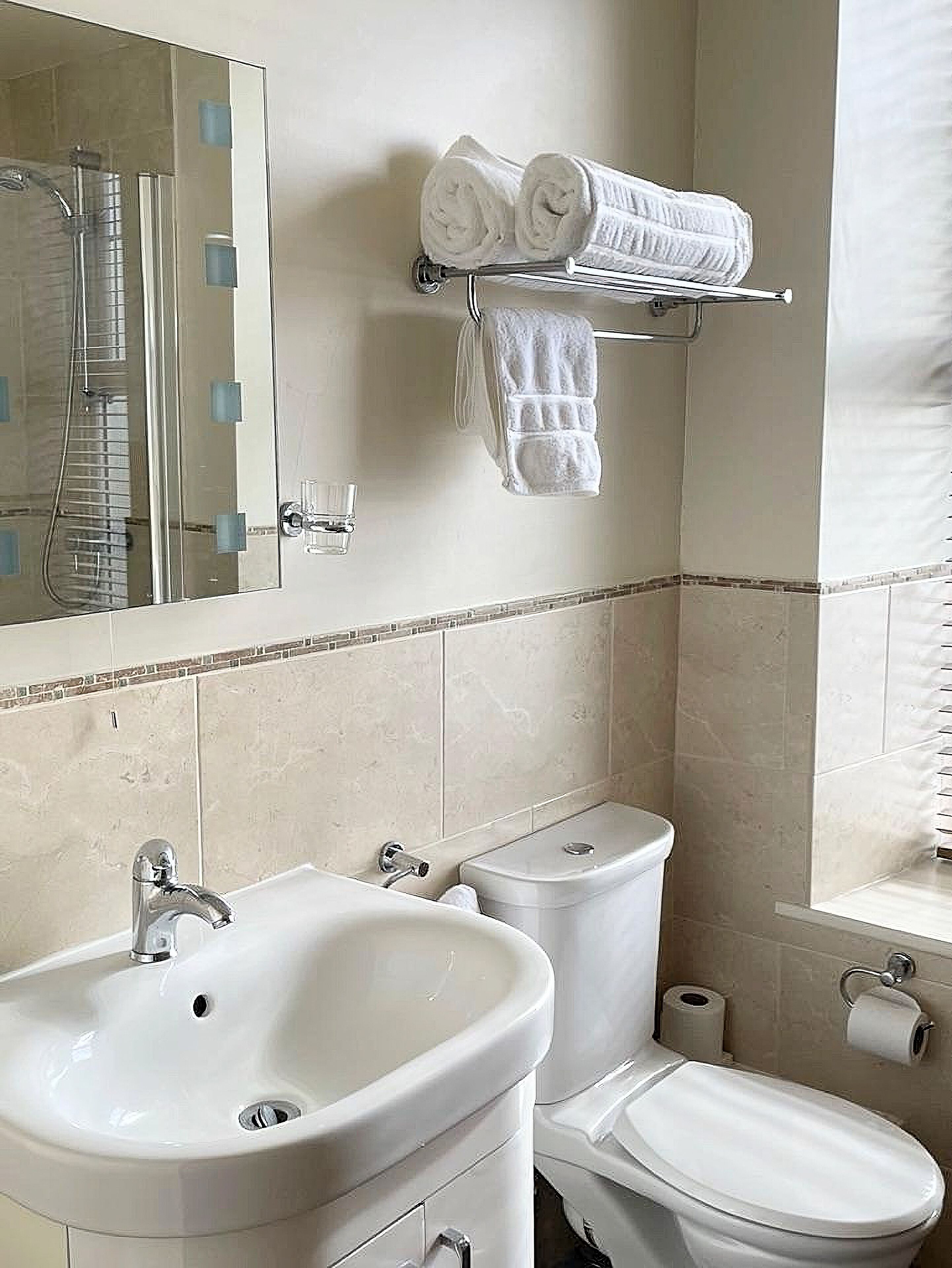 A bathroom with a sink, toilet, and a towel rack with rolled towels.