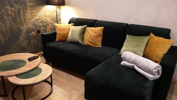 Apartment (1 -Salwatoriańska 26) | Living area | Flat-screen TV