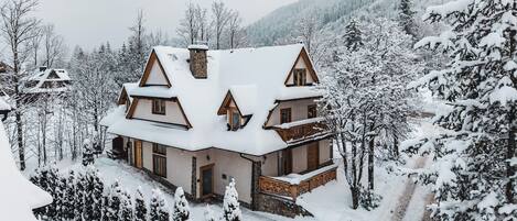 A two-story chalet with a snow-covered roof and a stone chimney, surrounded by snow-laden trees and a mountain backdrop.