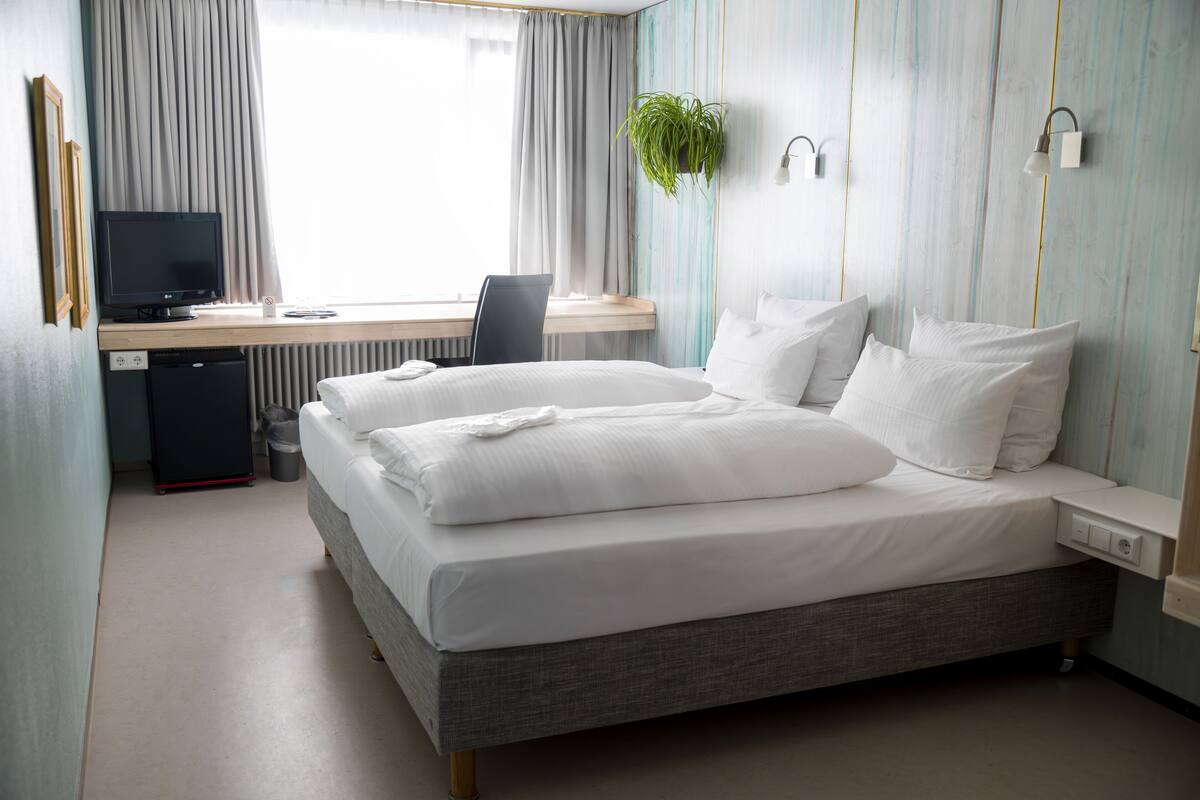 Una habitación de hotel con cama, escritorio, silla, televisor y una planta.