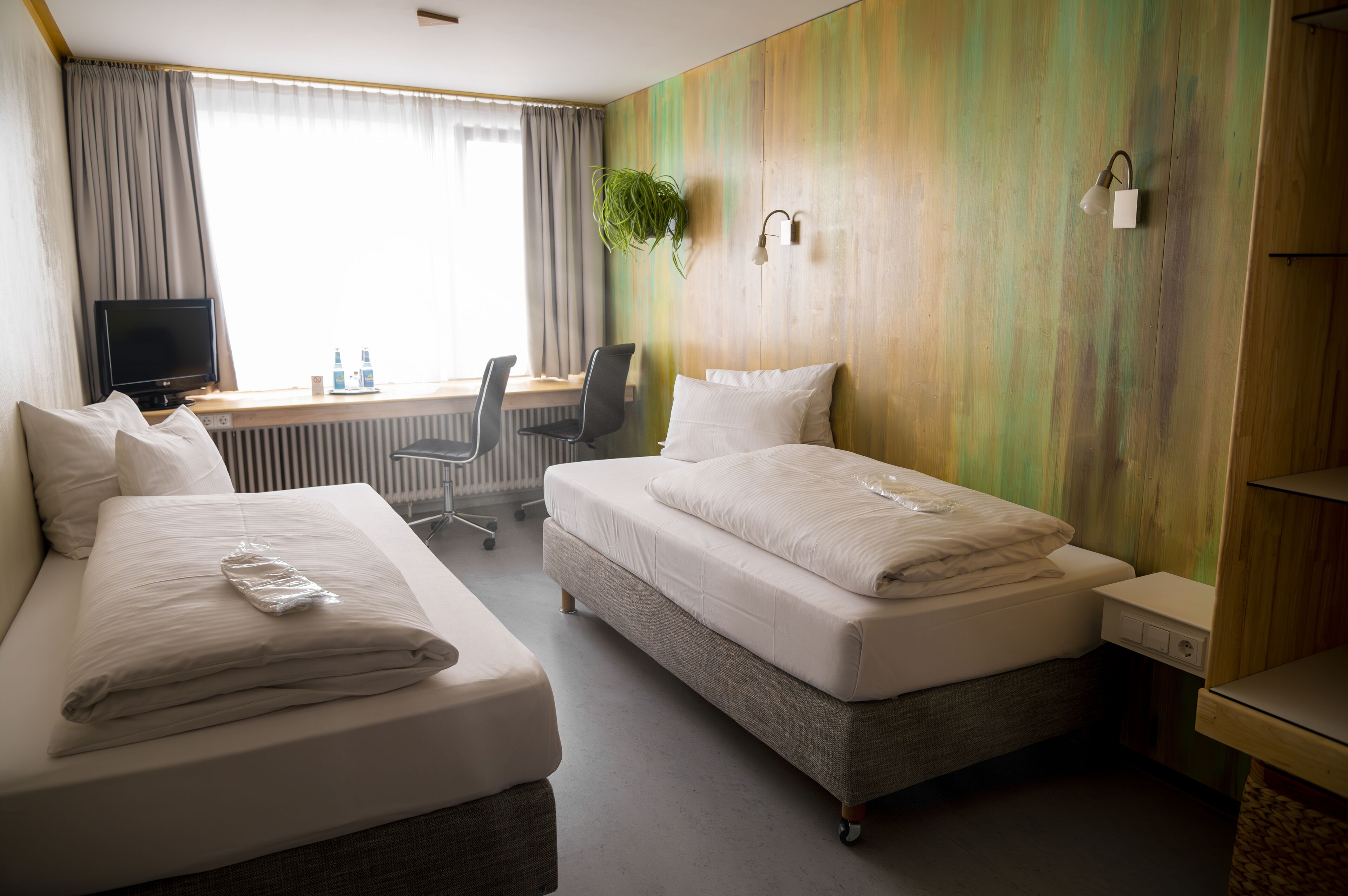 A hotel room with two beds, a desk, a chair, a TV, and a plant.