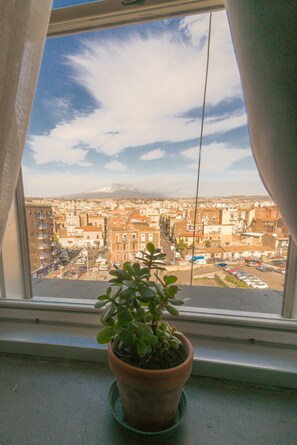 Habitación con 1 cama doble o 2 individuales, baño privado (U Liotru) | Vistas desde la habitación