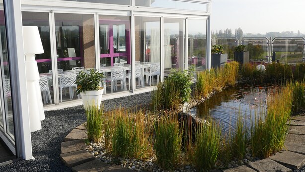 Een modern gebouw met grote glasramen, terras met witte stoelen en een vijver met waterplanten.
