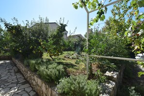 Garden - Apartments and Room Blazevic (Omisalj)