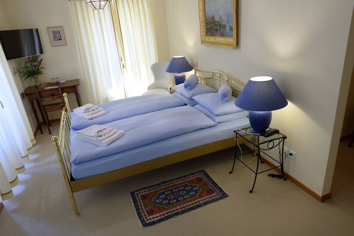 Una cama doble con colcha y almohadas azules, una mesita de noche con lámpara, una alfombra pequeña, un escritorio con silla, un televisor y un cuadro en la pared.