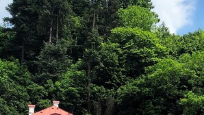 Uklassifisert bilde, 5 av 40, knapp