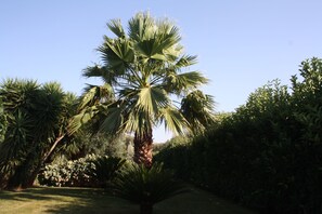 Jardin