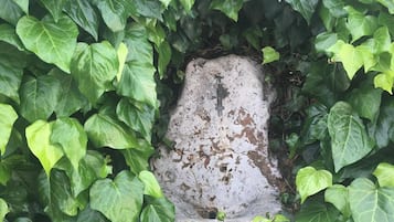 花園