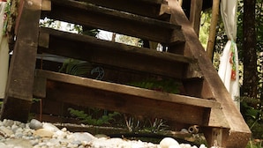 Una escalera de madera que conduce a una zona cubierta con techo, rodeada de árboles y guijarros.