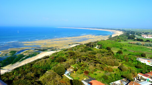 An aerial view of a coastal area with a beach, greenery, and buildings.