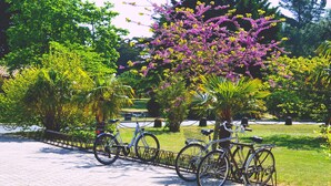 A paved pathway with bicycles parked along the side, surrounded by lush greenery and flowering trees.