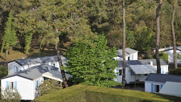 A row of mobile homes with a large tree in the foreground.