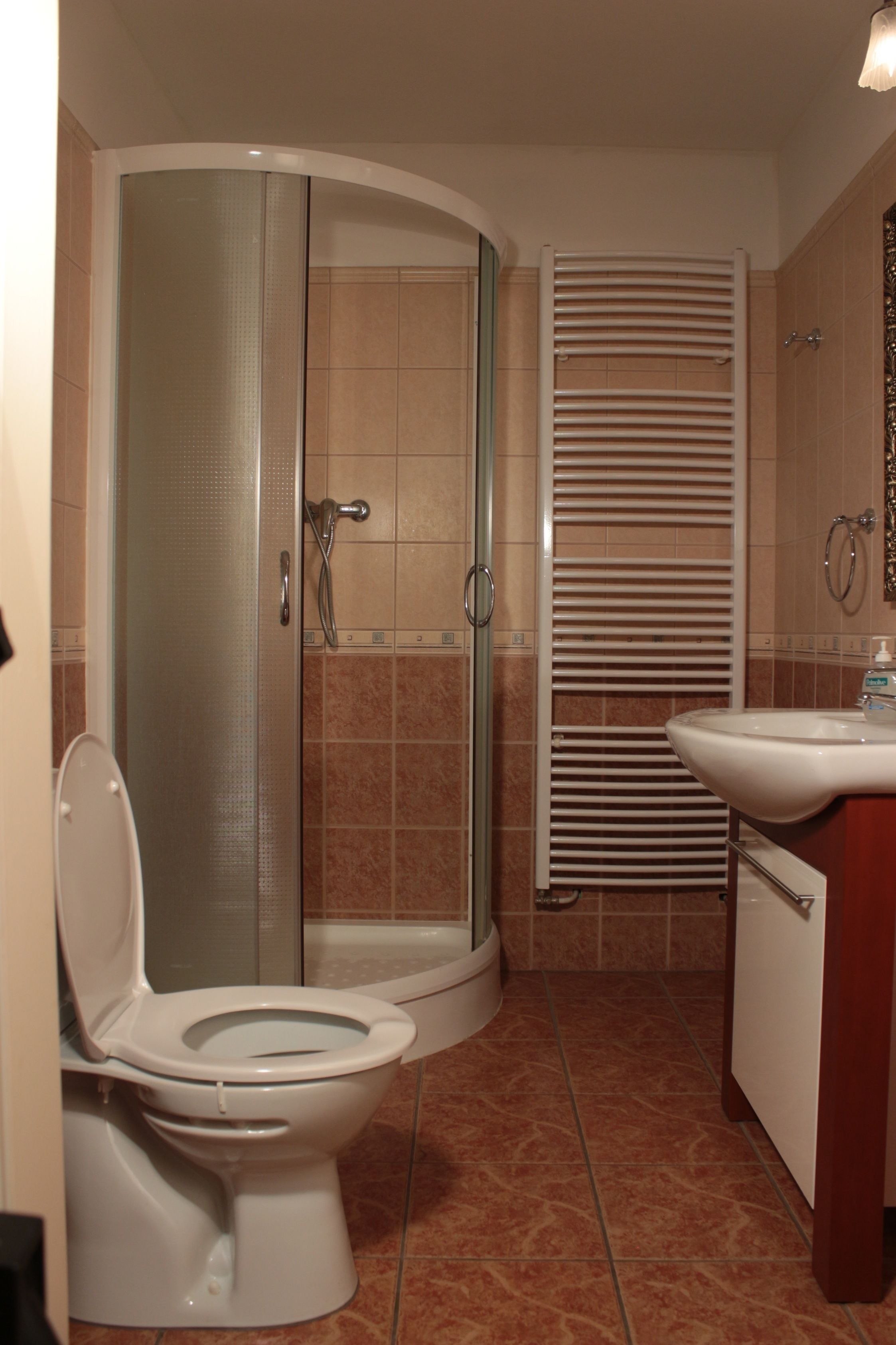 A bathroom with a toilet, shower, and sink.