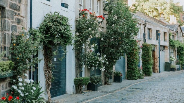 Une ruelle étroite pavée, bordée de bâtiments anciens en pierre, dont certains sont recouverts de lierre et agrémentés de plantes à fleurs.