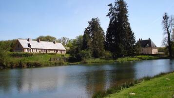A riverside view with a house and a large tree.