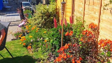 Jardin