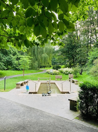 Áreas de la propiedad. Hotel Im Park