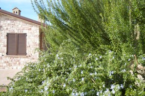 Detalle exterior