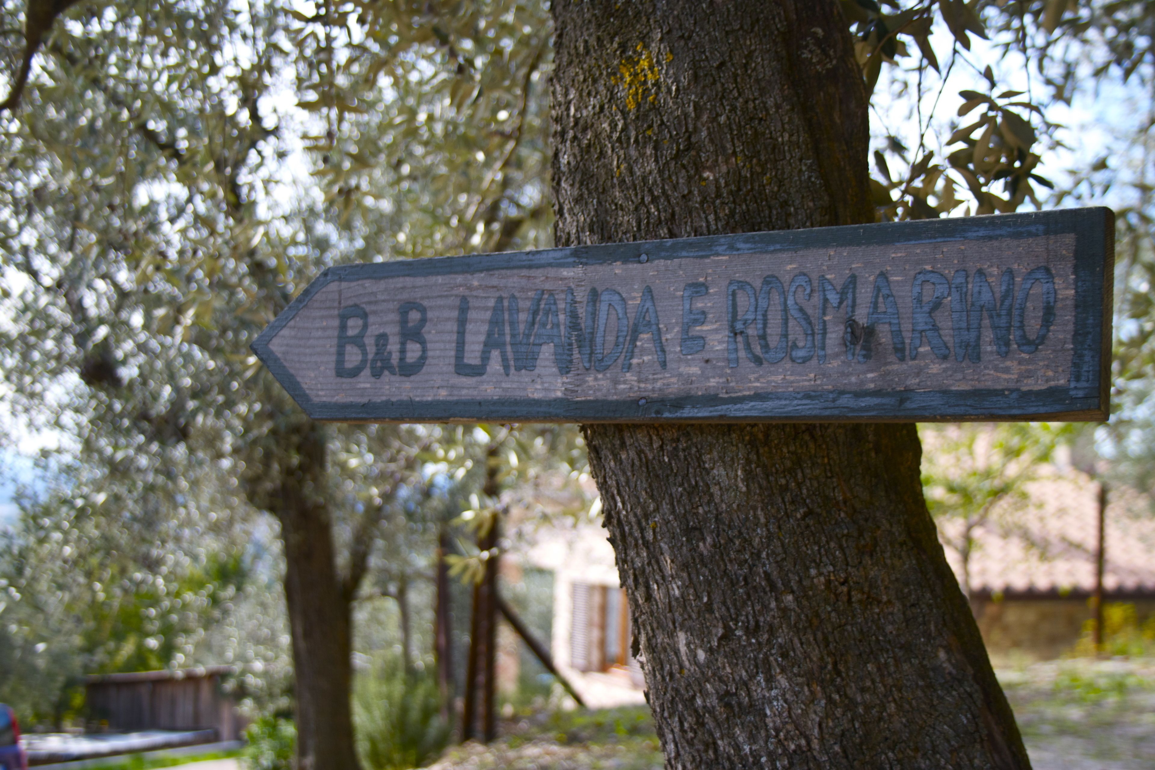 Ein hölzernes Wegweiser mit der Aufschrift 'B&B LAVANDA E ROSMARINO', der nach rechts zeigt.