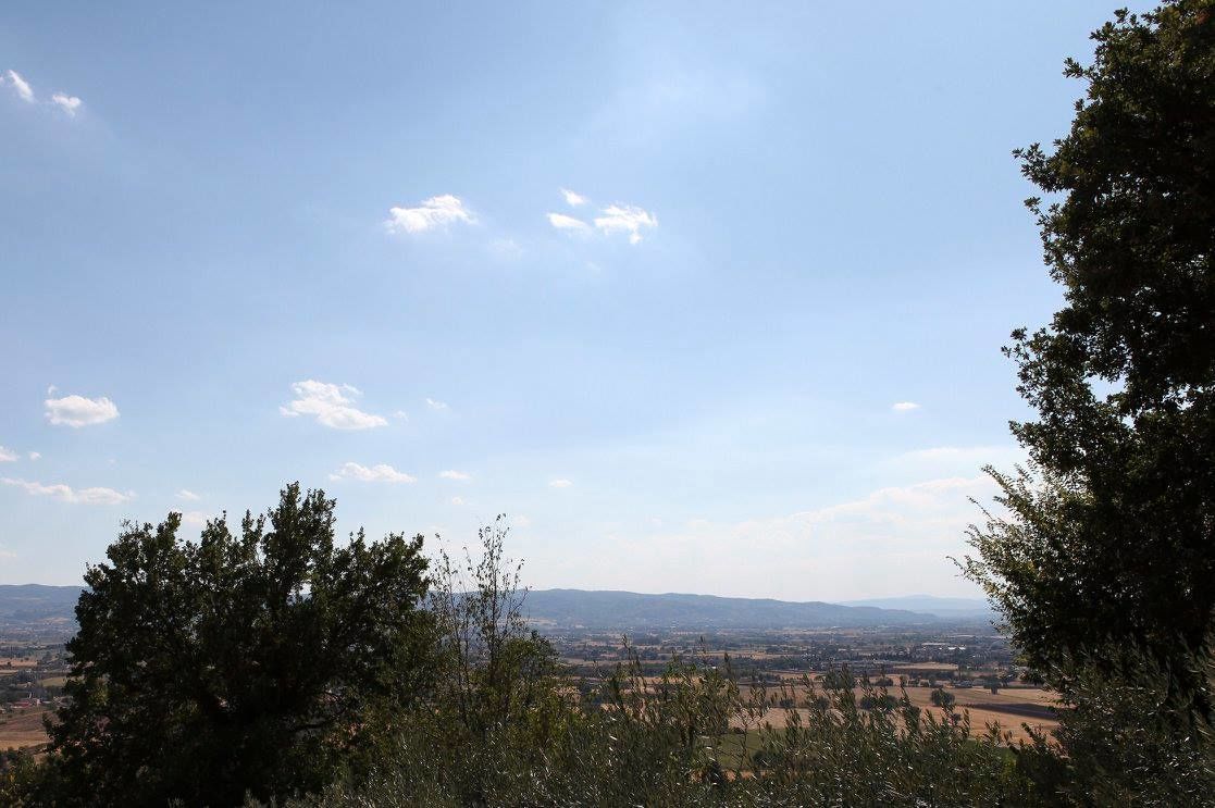 Foto - B&B Lavanda e Rosmarino