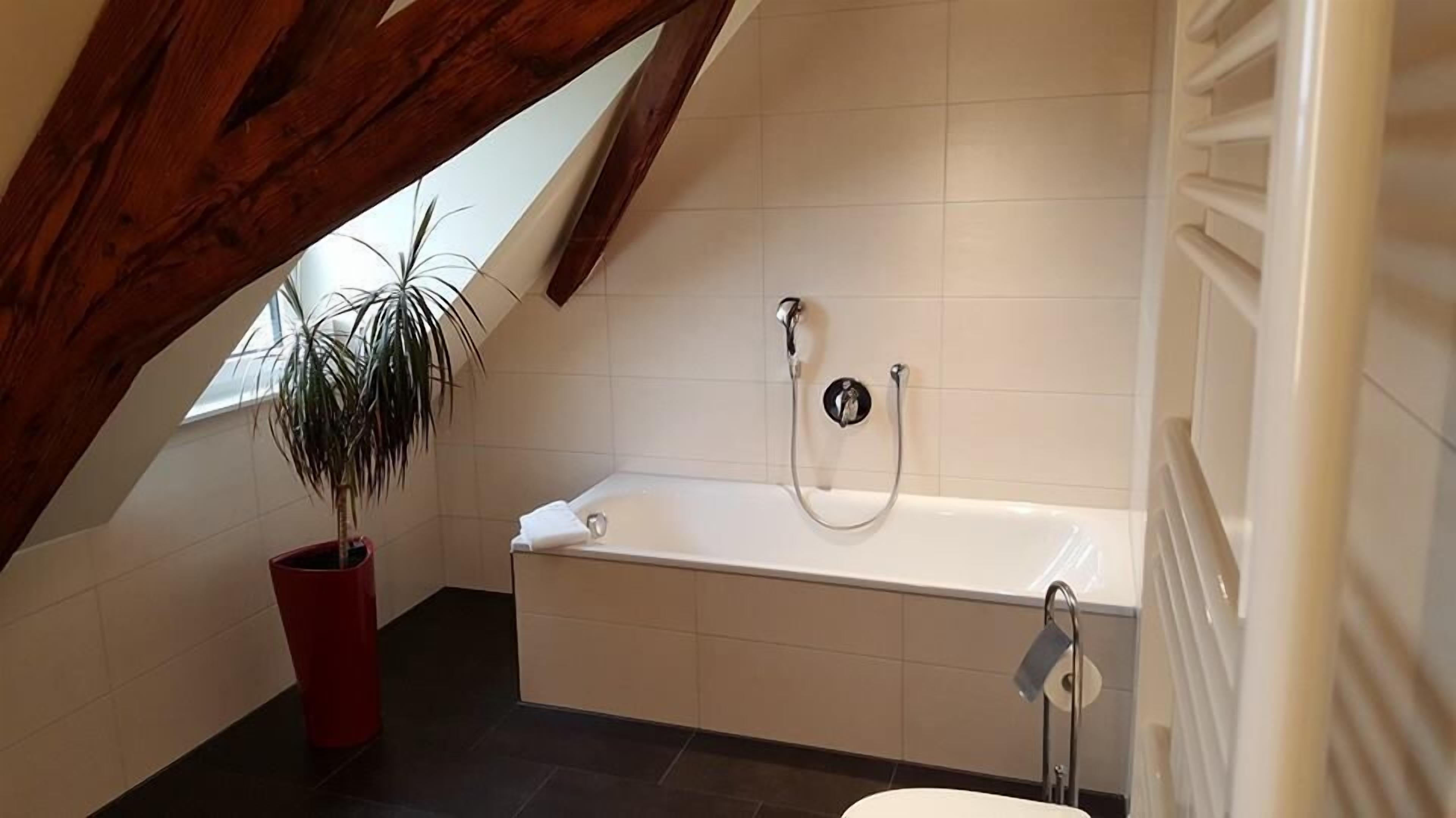 A modern bathroom with a freestanding bathtub, a potted plant, and a skylight.