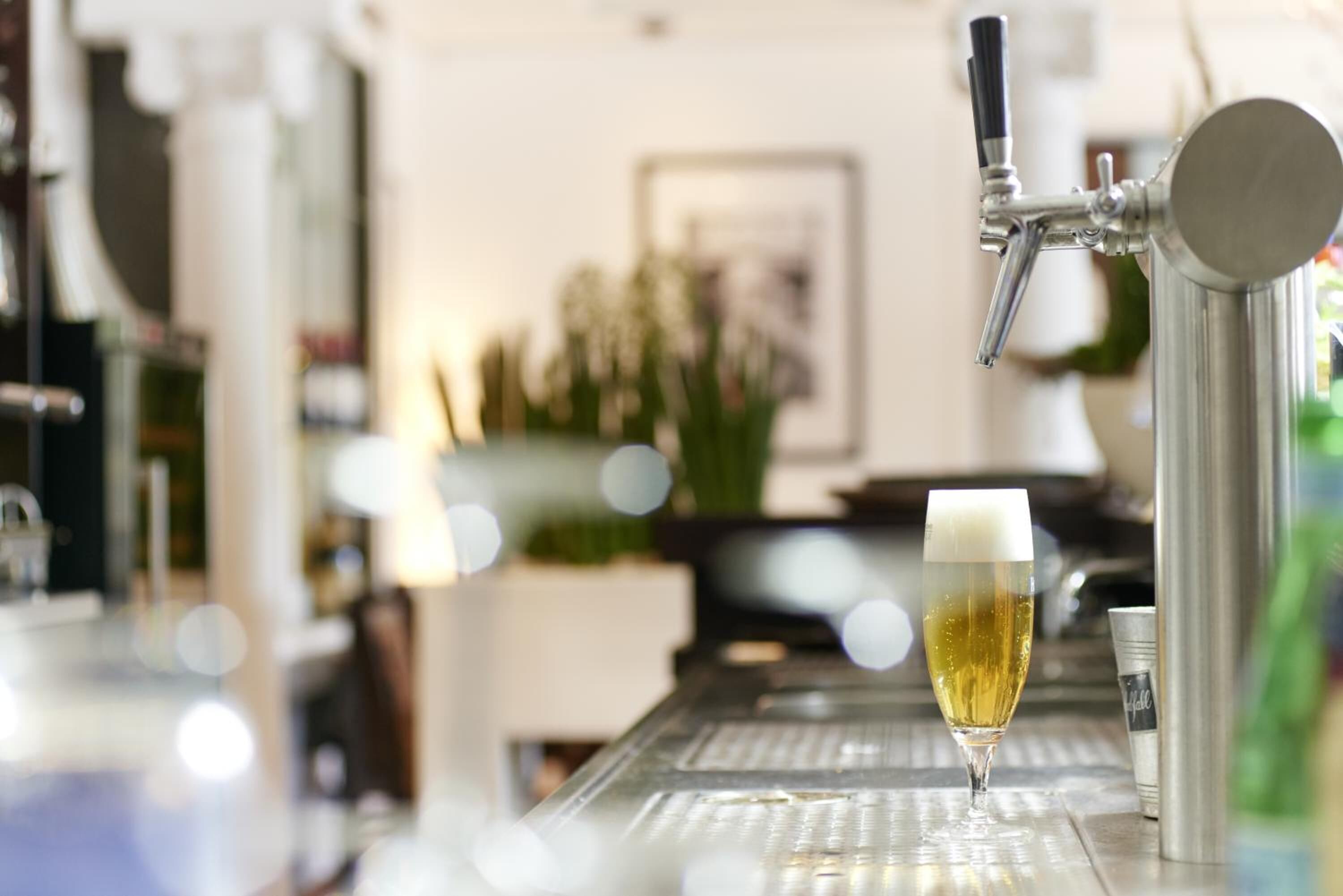 Zona de bar con una grifo sirviendo cerveza en un vaso.