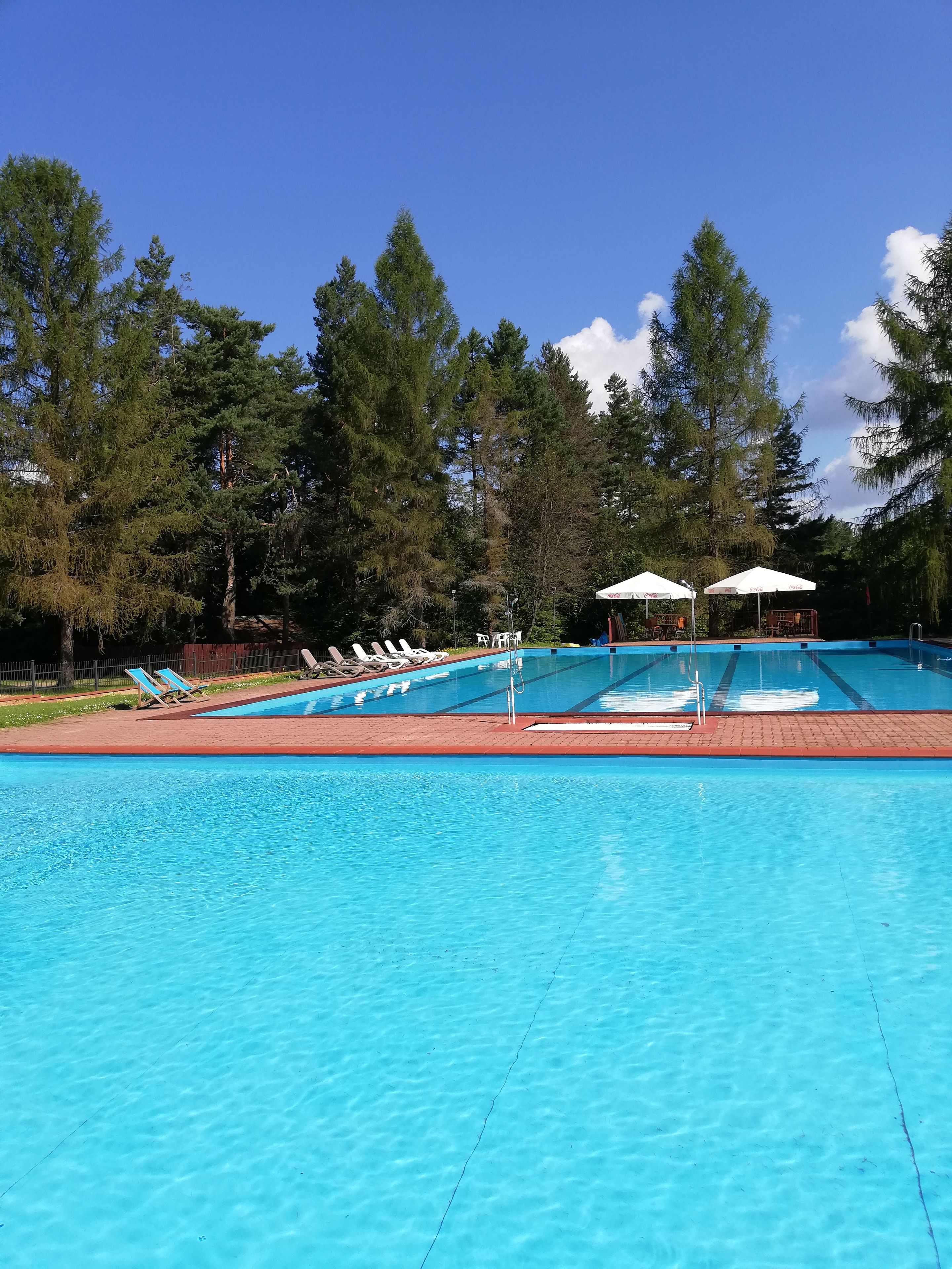 A clear blue swimming pool with lounge chairs and umbrellas, surrounded by trees.