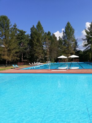 Une piscine à l’eau d’un bleu cristallin, entourée d’arbres et de chaises longues.