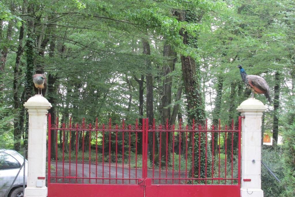 A gated area with a red fence and two peacocks perched on the gateposts.